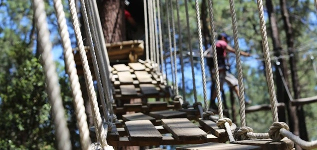 activités accrobranche Vaucluse