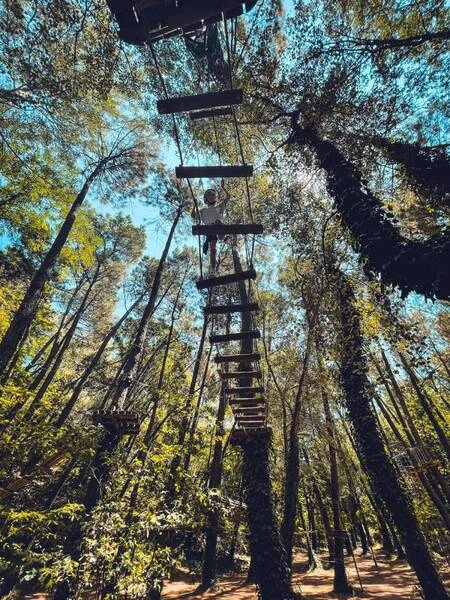 activités accrobranche Vaucluse