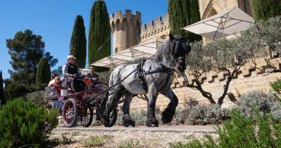 activité balade calèche vaucluse