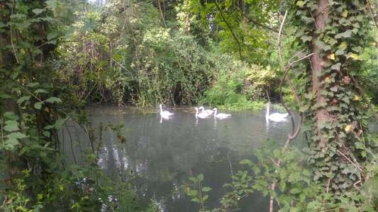 tourisme Vaucluse Islon Saint Luc